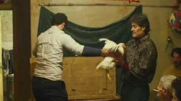 اتهام فيلم “ريش” بالإساءة لمصر يفتح جدلًا حول حرية التعبير والدفاع عن الصورة الوطنية